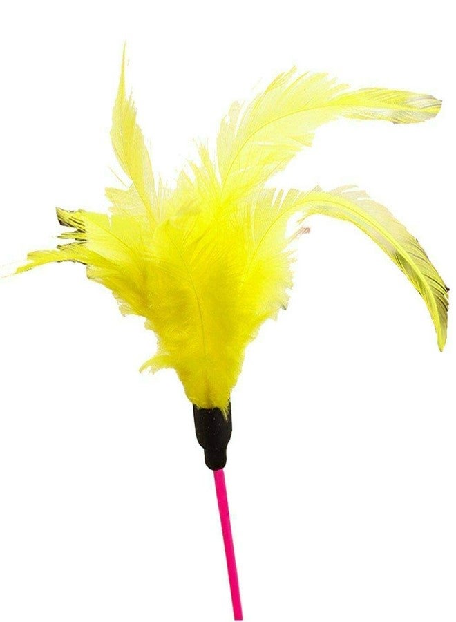 Pups&Pets لعبة تدريب تفاعلية لطيفة ومضحكة من Pups&Pets، كرة متأرجحة متدحرجة مع ريشة ملونة وموزع مكافآت للقطط والقطط الصغيرة - قد يختلف اللون - Image 4